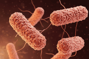 Public Health Alert Issued Amid January 2026 Salmonella Outbreak